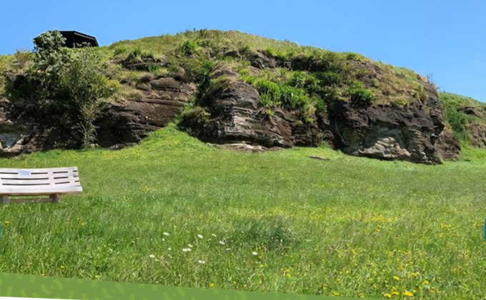 20 Geological Heritage Of Pukekohe