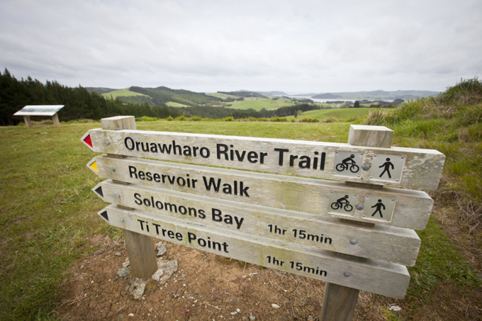 Breathing new life into Ambury Farm Day (3)