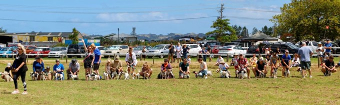 2025 Dog lineup lowres_yetlpton.jpg