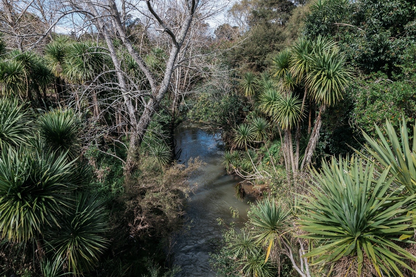 Ōpanuku Stream Walkway.