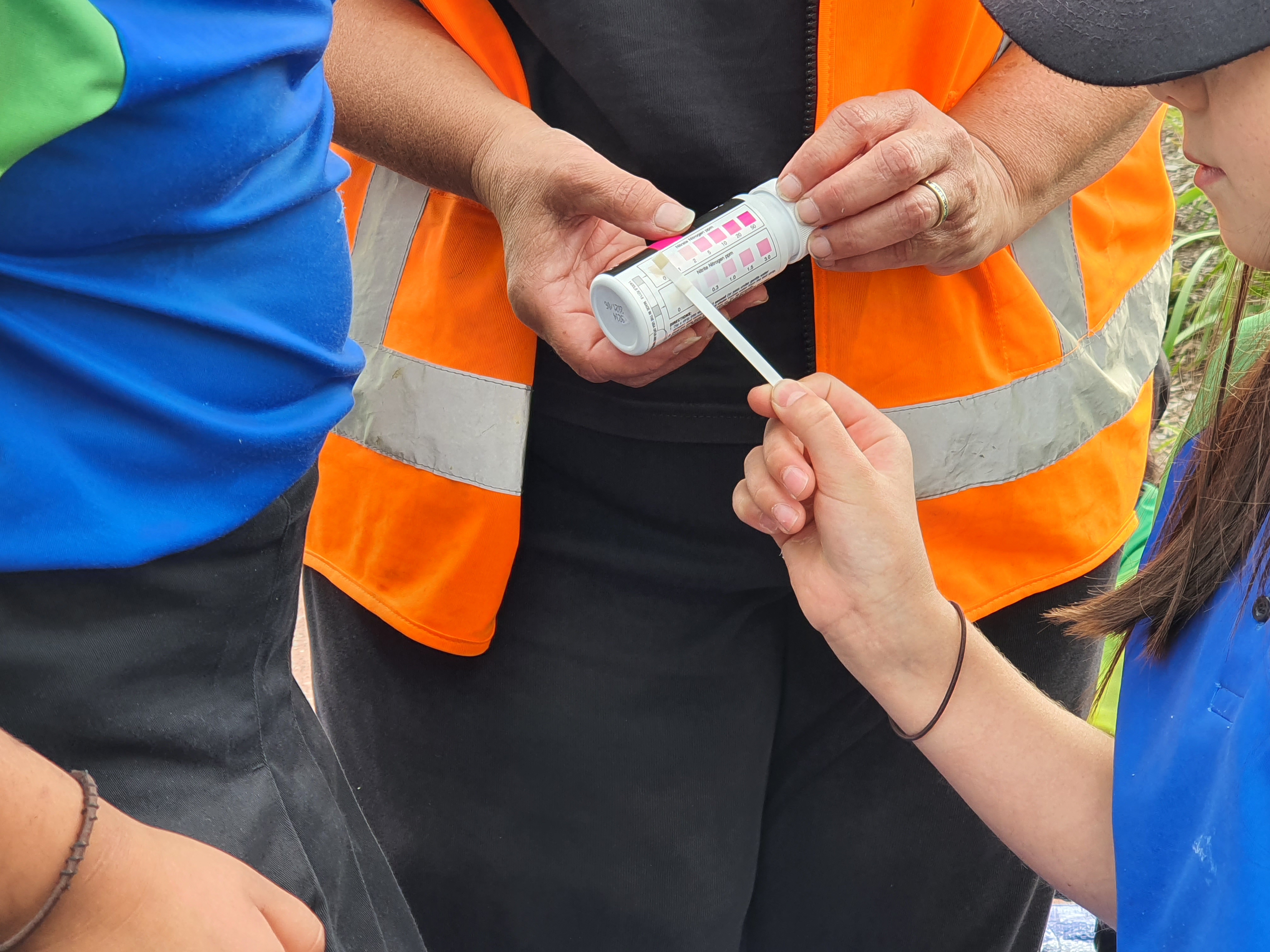 Kauri Flats School students testing water with litmus strips. 