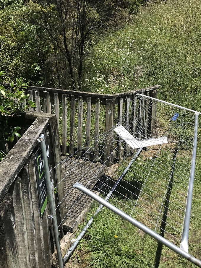 Vandalism takes shine off kauri dieback track upgrades