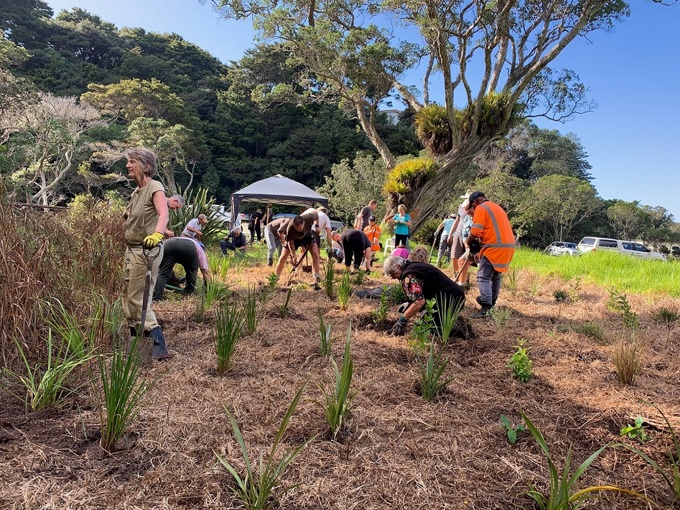 Get planting in Rodney