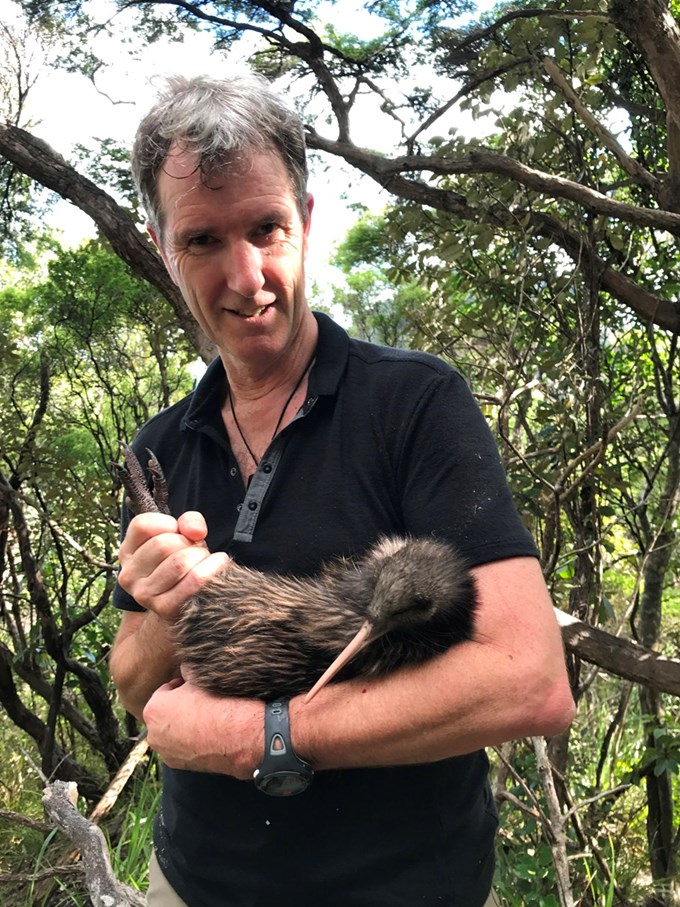 Kiwi to be released