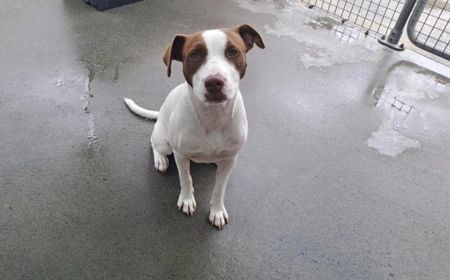 Margaery (ON HOLD) tile image