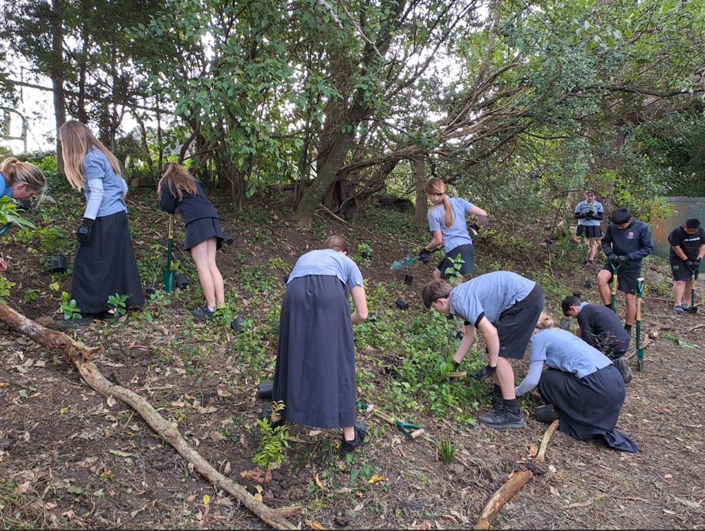 Mahurangi College