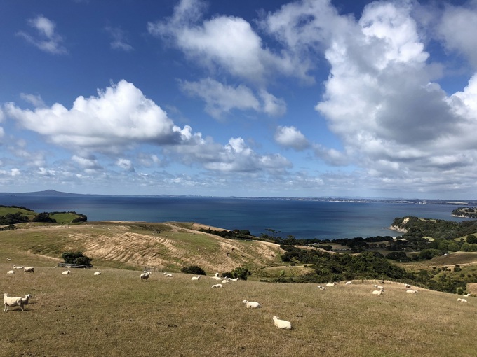 International award for Shakespear Regional Park (1)