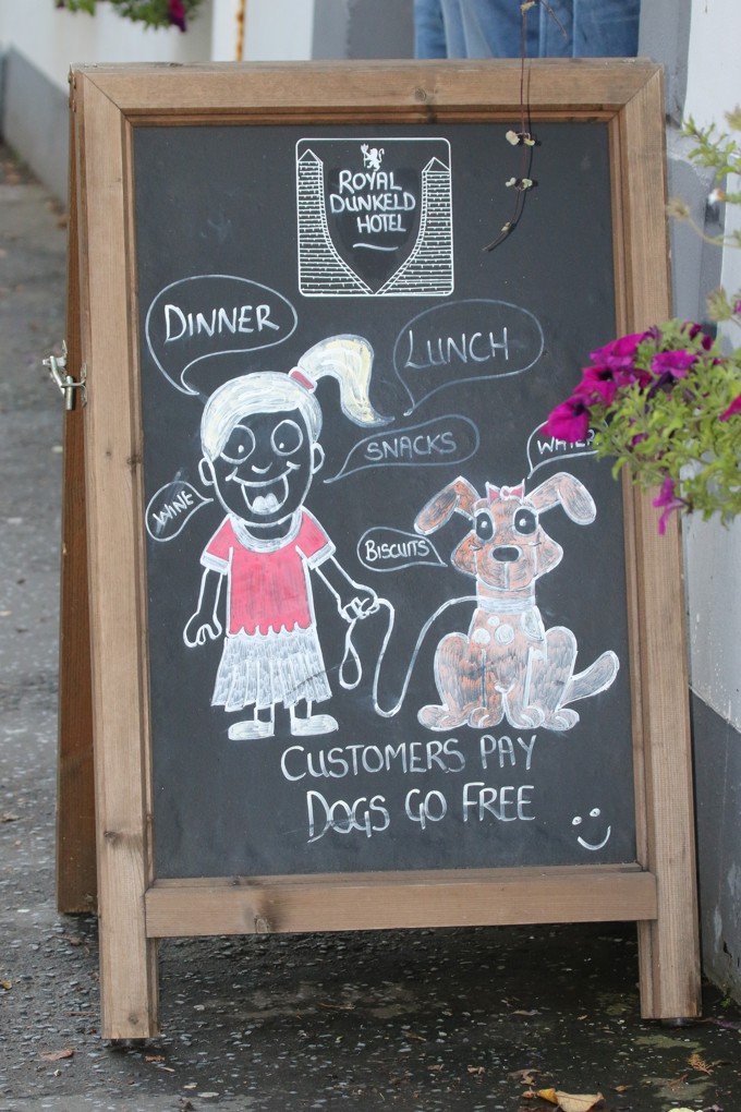 Cr. Casey Dog Story 2