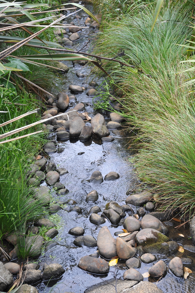 A local creek. 