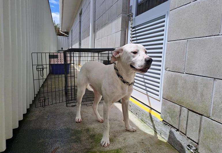 Cd994310 1Fc1 4D6b Bc34 4Fd17419fcec