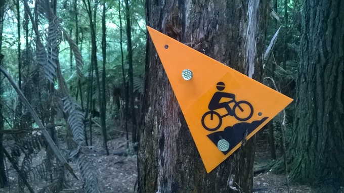 On your bike in Henderson-Massey.jpg