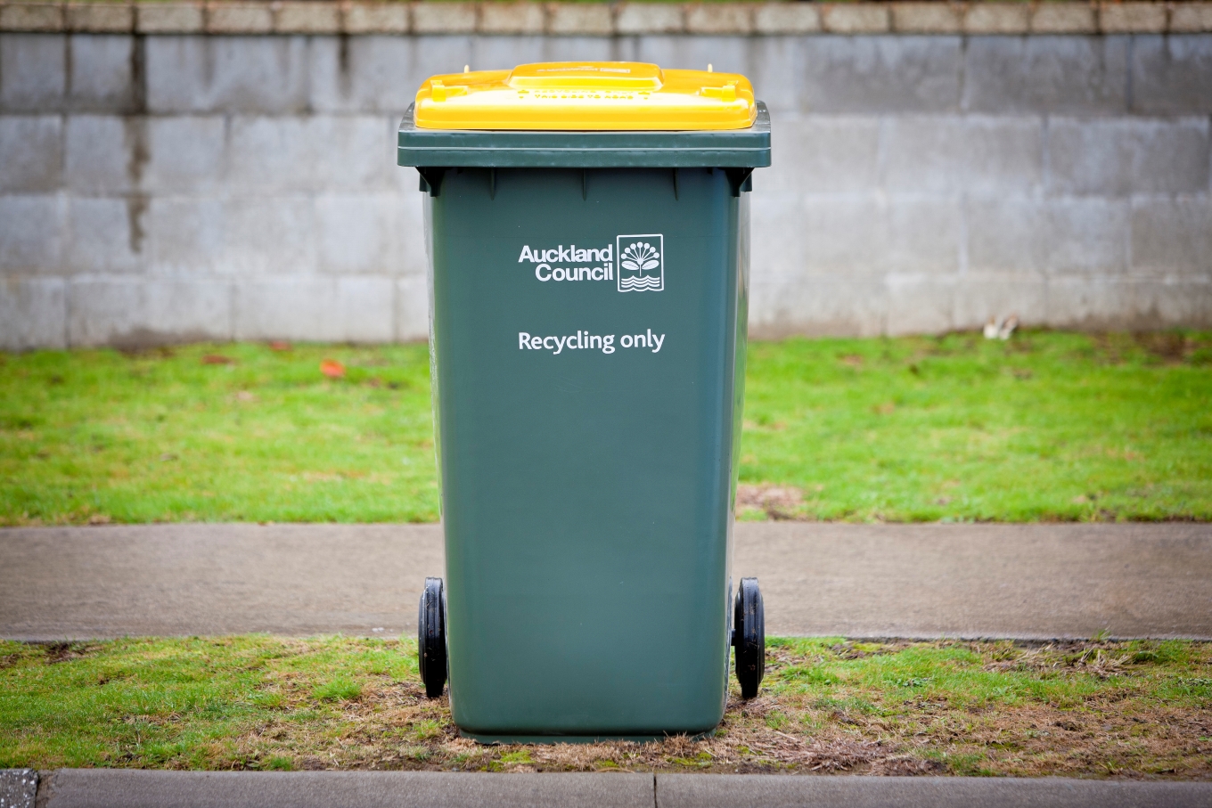 New standards to recycle right OurAuckland