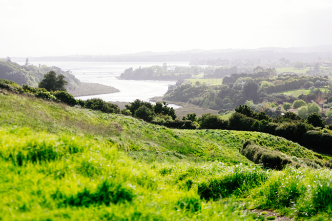 Local efforts toward a pest-free community