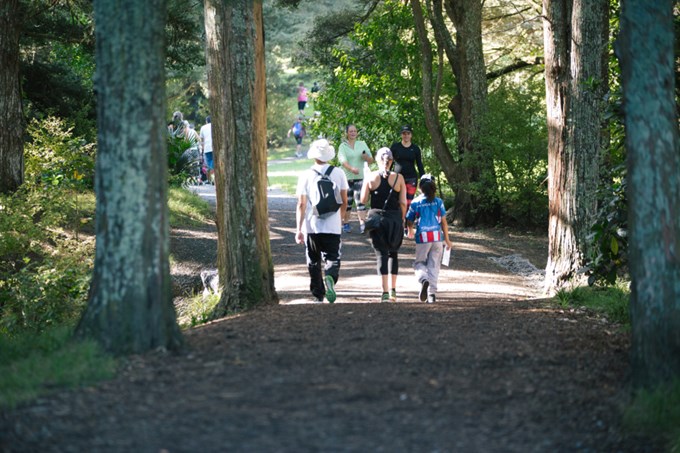 Get together on these south Auckland walks (4)