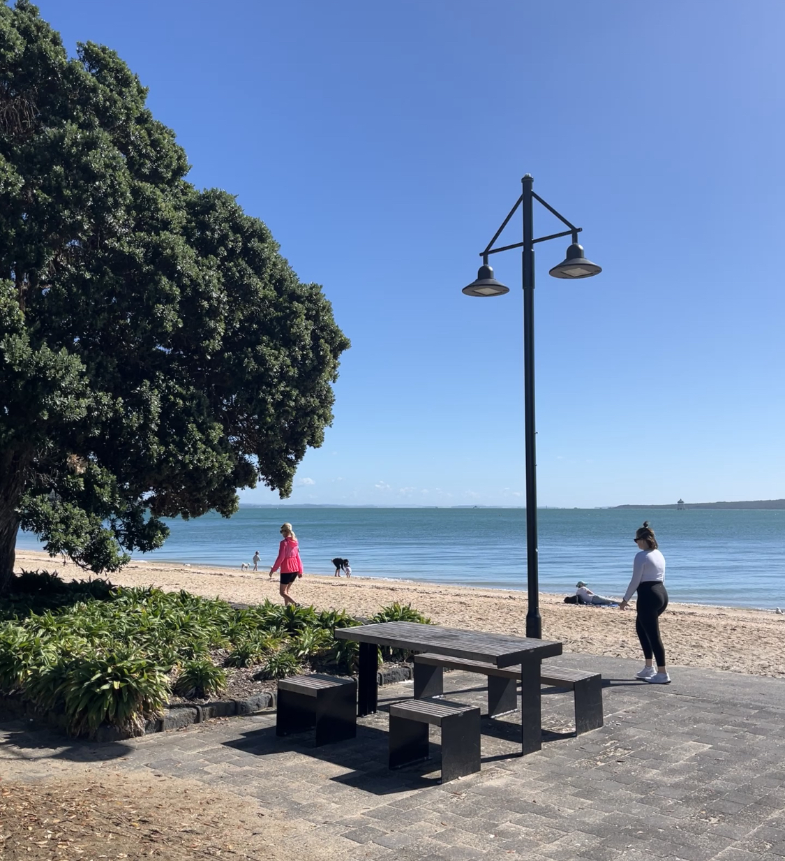 Accessible picnic bench, Mission Bay