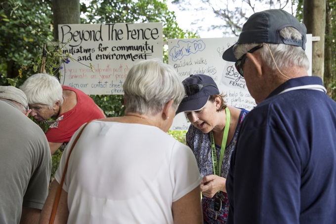 A piece of ecological paradise restored (1)