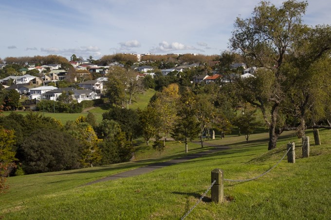'No mow' pilot at Grey Lynn Park will see slopes returned to wilderness (1)