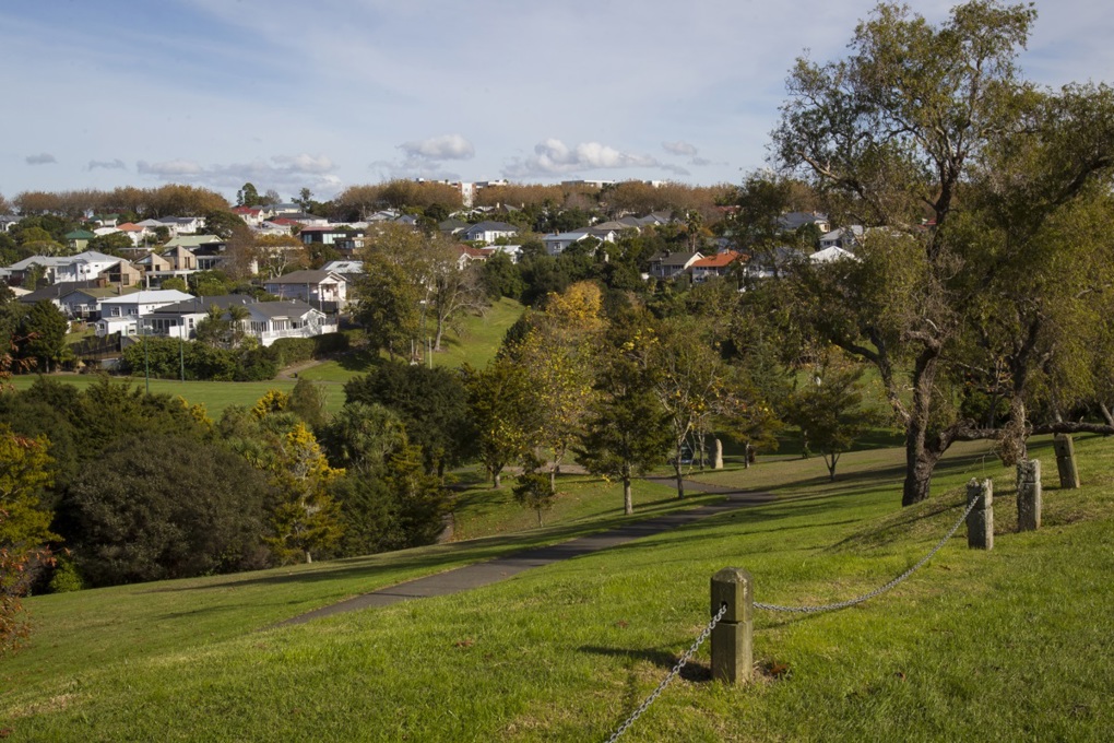 'No mow' pilot at Grey Lynn Park will see slopes returned to wilderness (1)