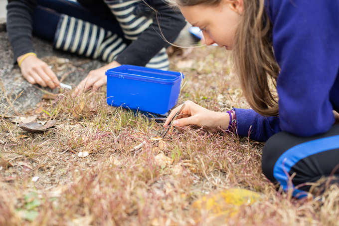 Fighting back against the microplastics damaging our environment (2)