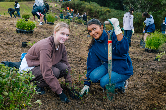 Winter planting brings together the Upper Harbour community