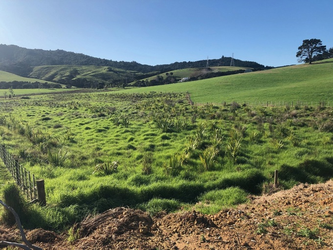 Fences protect waterways 2