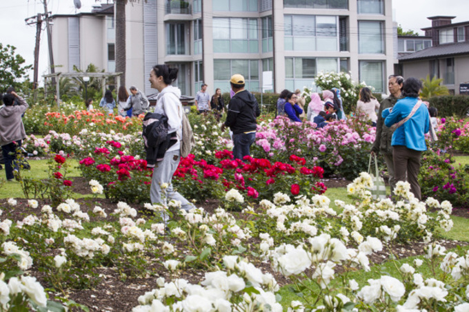 Parnell Festival of Roses 9