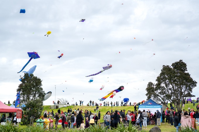 Puketāpapa Manu Aute Kite Day