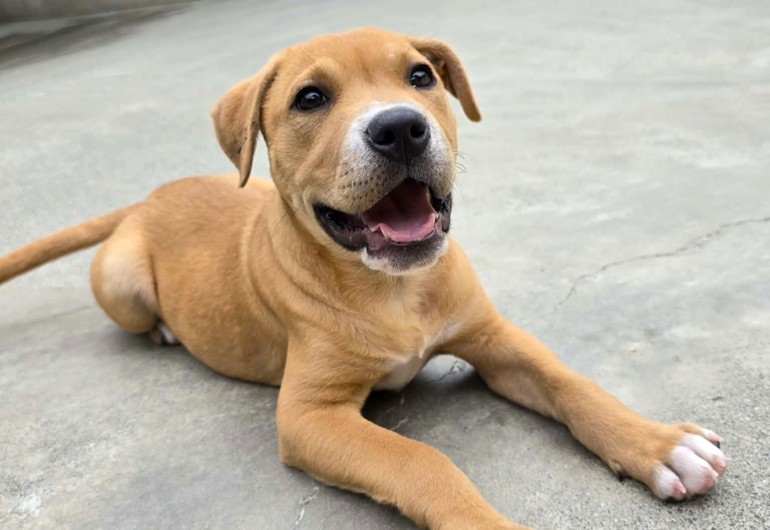 668769954 27237939302475164 6956892860246883049 N