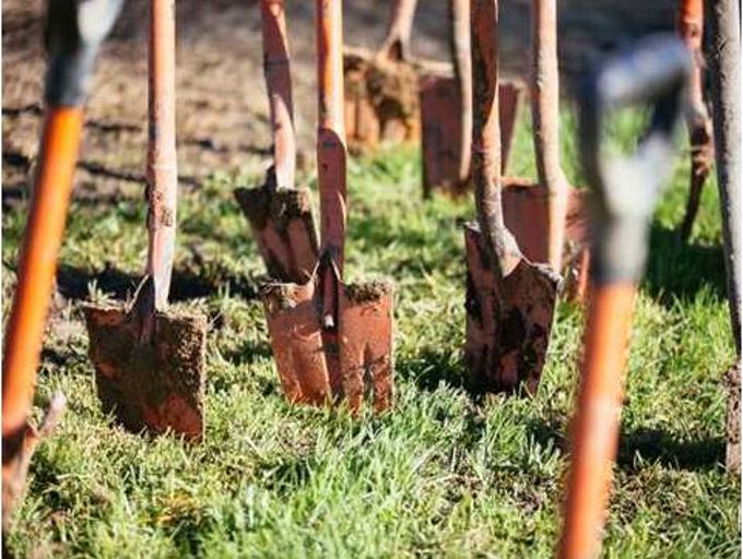 Funding for Whau environmental projects announced