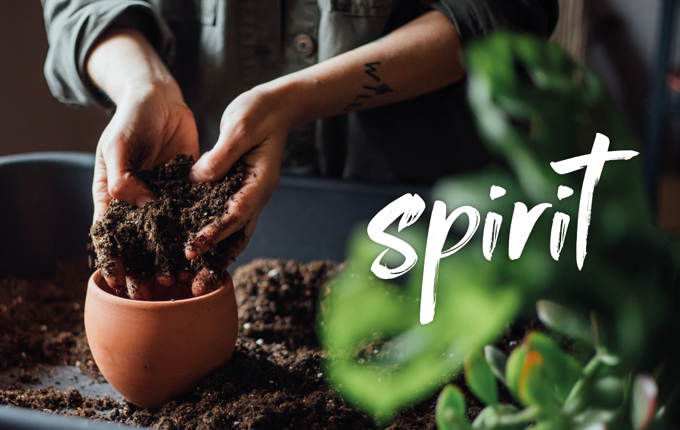 22 PRO 0265 COVID 19 At Home OA Tiles 1360X860 Spirit 3