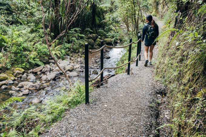 Young woman hiking through the bush