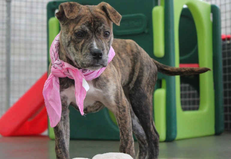 IMG 9226