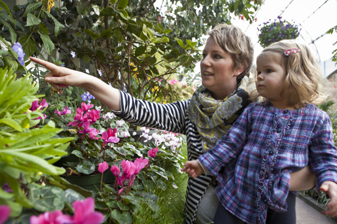 Visit the Wintergardens1