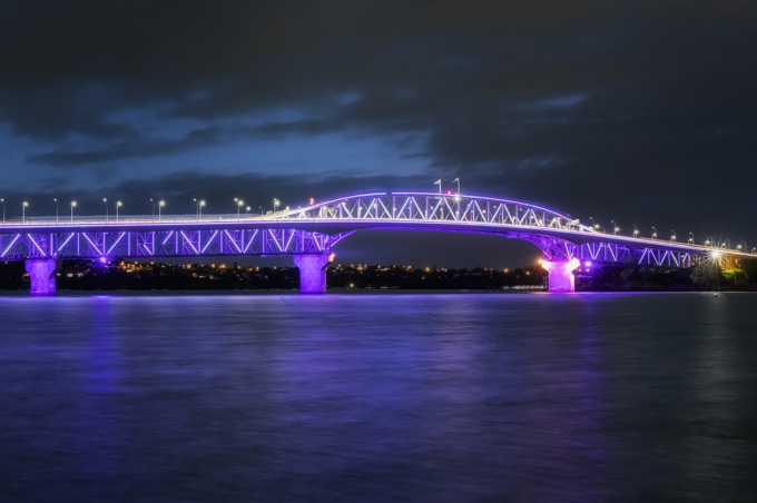 Vector Lights For Matariki Festival