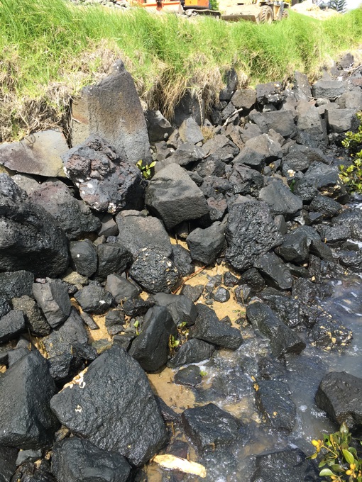 Seawall repair in battle against coastal erosion