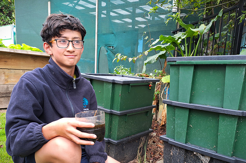 Anyone for a cup of tea? You would not want to drink this stuff - even if it is a super-fertiliser. Worm tea is being produced from the worm farms set up at Beachlands School to consume the mountains of waste collected each day.