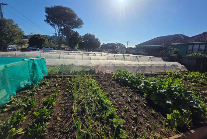 New community garden