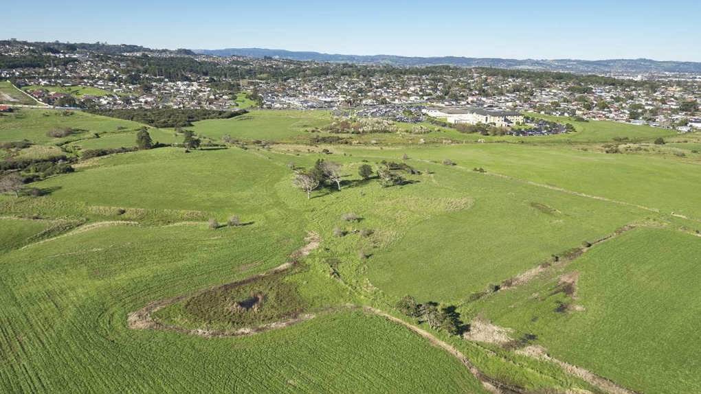 Image Of Puhinui Stream