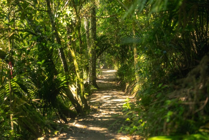 Dingle Dell Reserve Walkway
