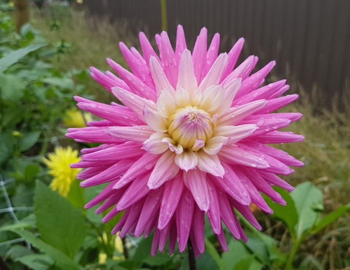 2056136-876921-14 (1)_3krt0ngw.jpg