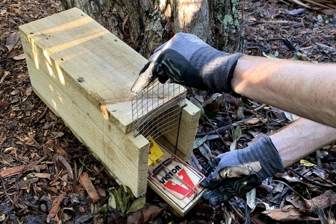 Victor Professional Rat Trap In Box