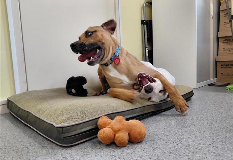 539F5db4 F8c3 4498 Ac1c D7a6953fcef9