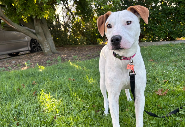 Processed 3F213504 A78D 4047 8920 24A10721EE80