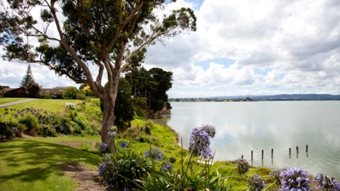 Spotlight on our local board neighbourhoods 1