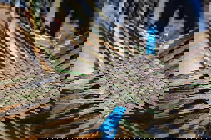 Ruaruawhetū – Weaving Design Celebrating The Stars