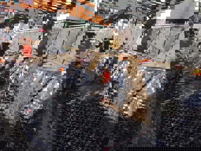 New rain gardens for revitalised Quay Street (3)