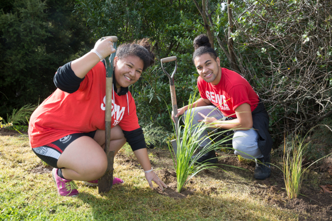 Planting helps bring Otara Creek