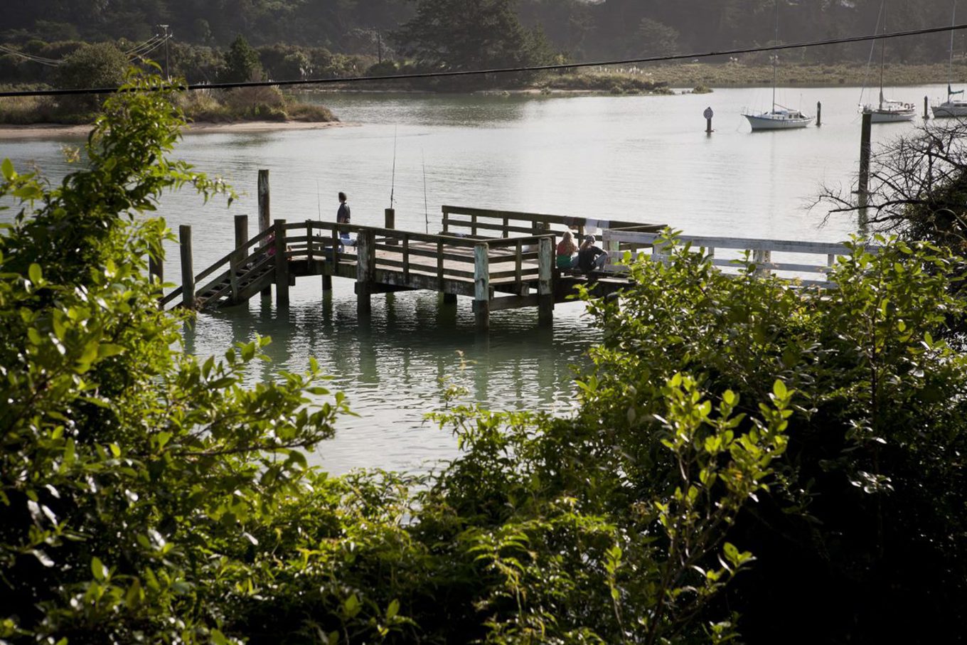 Protecting Auckland’s water future OurAuckland
