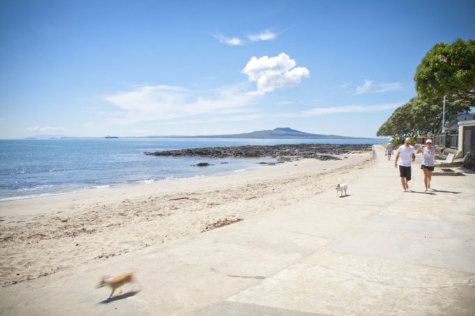 Milford-Takapuna Walkway