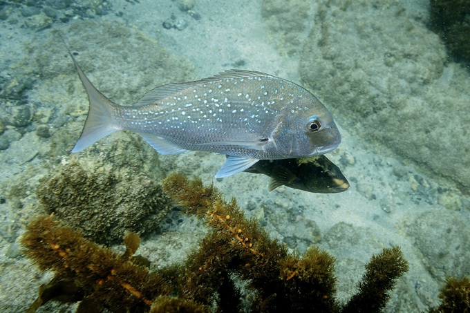 Love Leigh - exploring Rodney's highlights